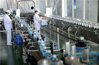 食品厂装修与净化车间方案 关键装潢材料选择指南